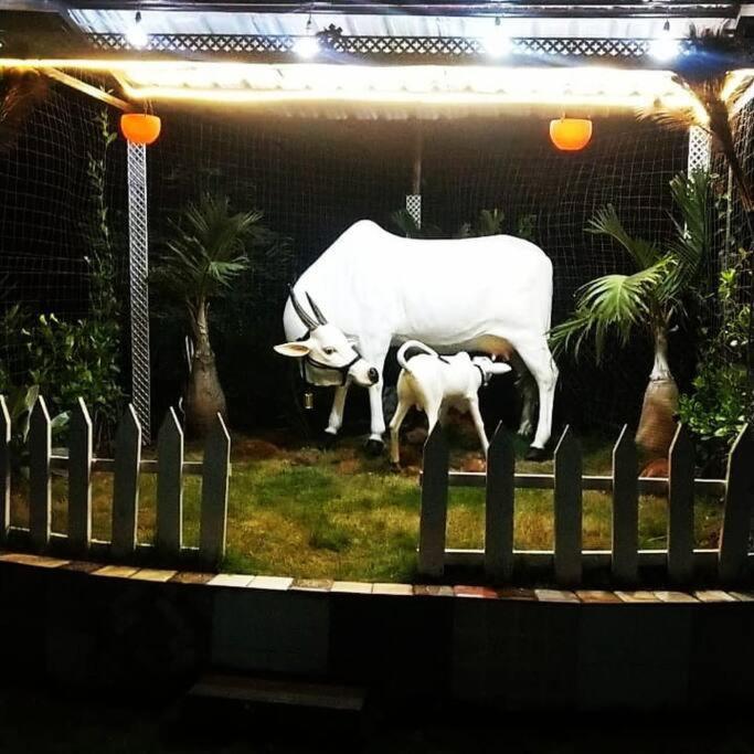 Saifarms Private Farmhouse Between Pune & Lonavala Nethersole Dam Eksteriør bilde
