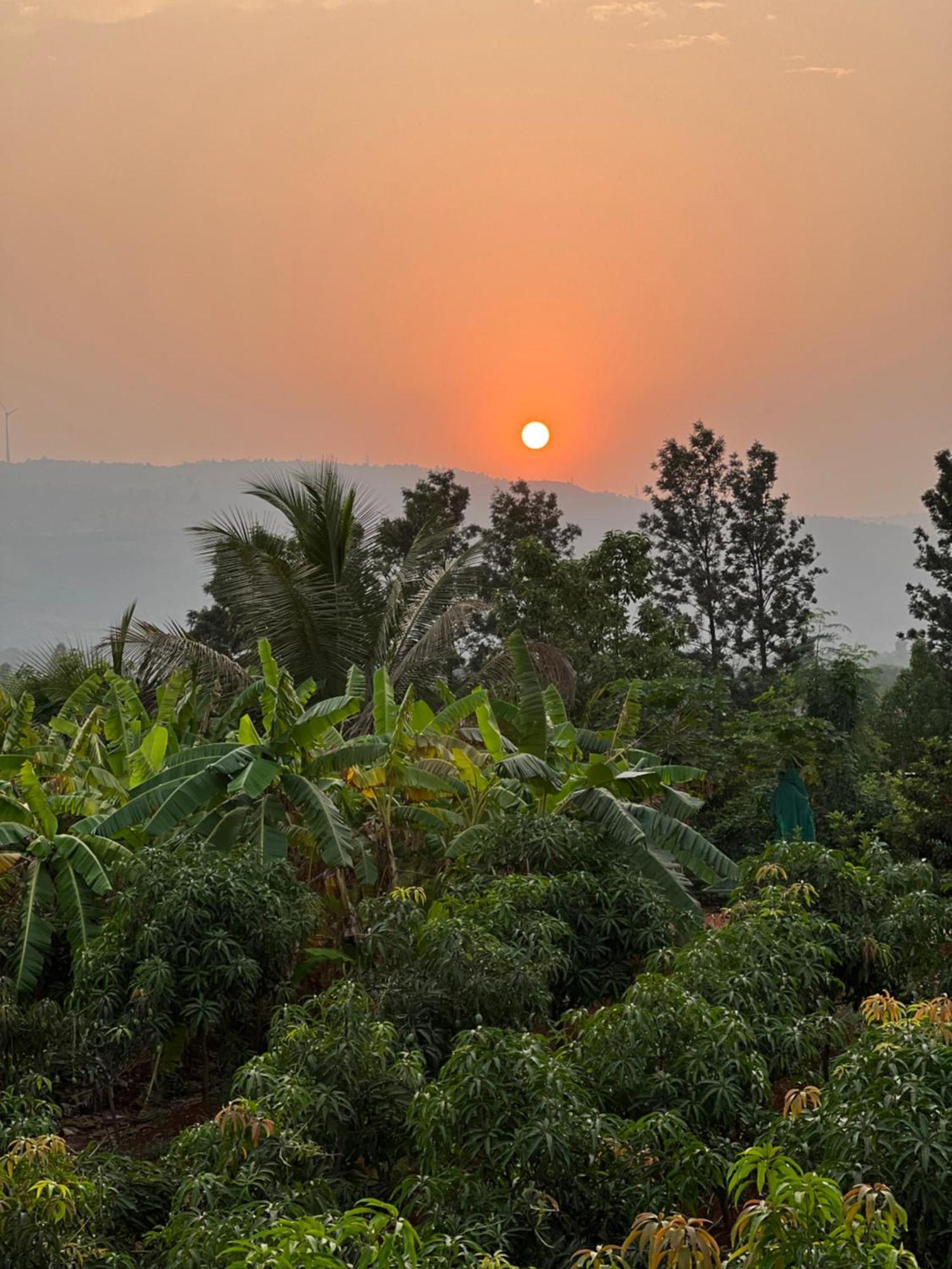 Saifarms Private Farmhouse Between Pune & Lonavala Nethersole Dam Eksteriør bilde
